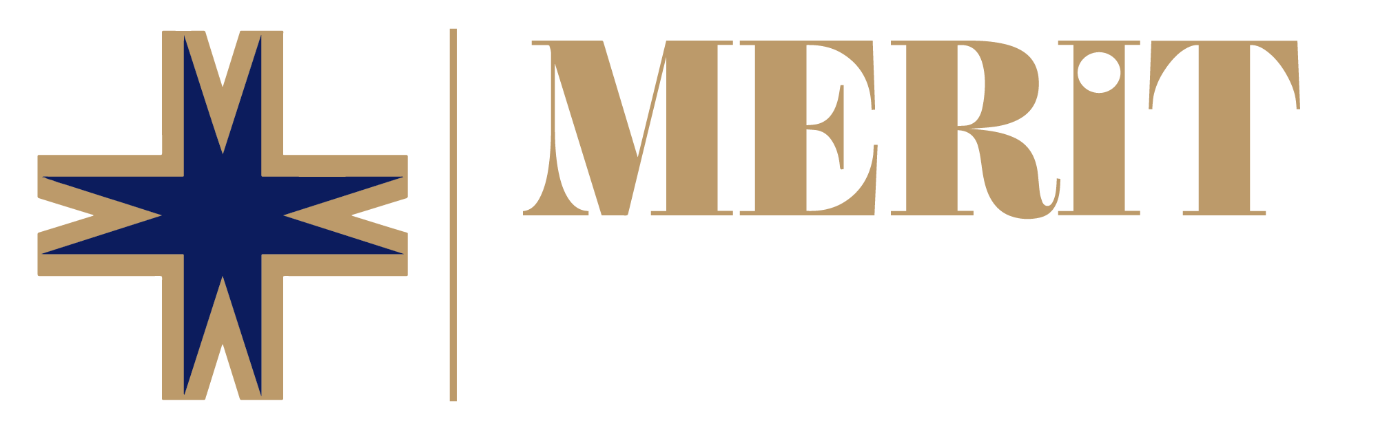 Merit Premium TV